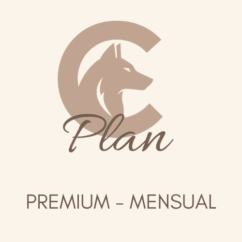 PLAN C Premium - Coaching 1:1 con Videollamada Mensual