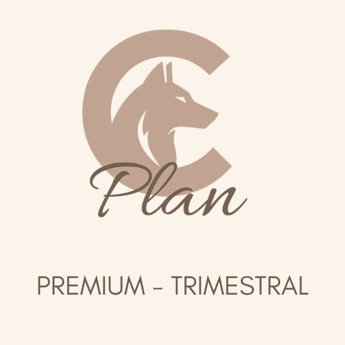 PLAN C Premium - Coaching 1:1 con Videollamada Trimestral