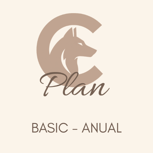 PLAN C Basic - Planificación anual de Crossfit