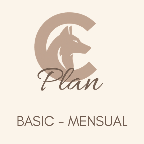 PLAN C basic - Planificación mensual de Crossfit