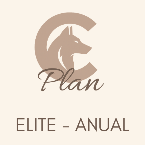 PLAN C Elite – Coaching Intensivo Anual con Seguimiento Quincenal