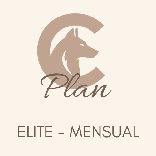 PLAN C Elite – Coaching Intensivo Mensual con Seguimiento Quincenal