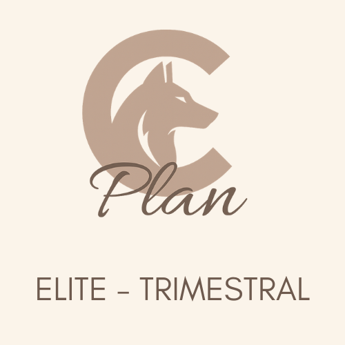 PLAN C Elite – Coaching Intensivo Trimestral con Seguimiento Quincenal