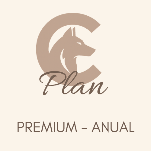 PLAN C Premium - Coaching 1:1 con Videollamada Anual